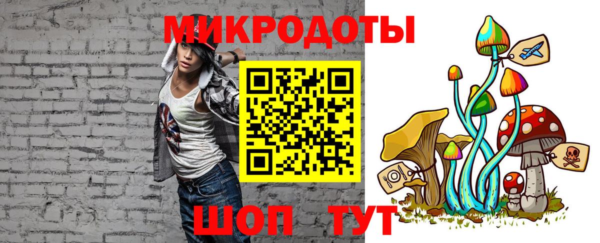 Псилоцибиновые грибы мицелий Черногорск