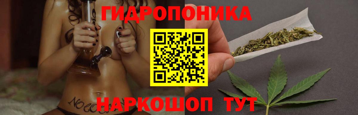 Шишки марихуана тримм  Шишки марихуана ГИДРОПОН  Канабис Bruce Banner  Вход с VPN  Черногорск 
